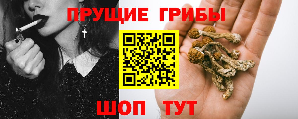 Галлюциногенные грибы Cubensis  Вход с VPN  Галлюциногенные грибы прущие грибы  Ижевск 